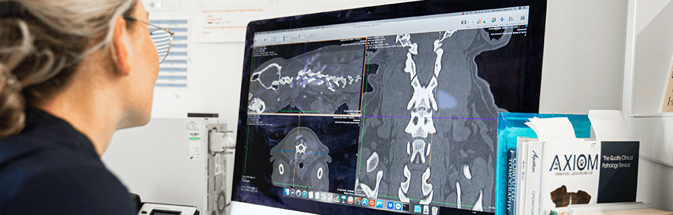 Diagnostic Imaging, X-ray, Ultrasound at Brentknoll Vets