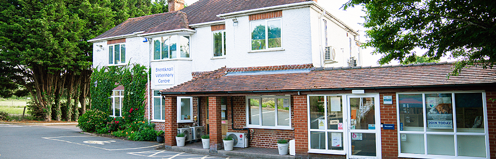 Brentknoll Vets is a silver accredited Cat Friendly Clinic