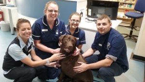 Brentknoll-staff-Jack-Vets-300x169.jpg