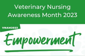 Veterinary Nursing Awareness Month at Brentknoll Vets