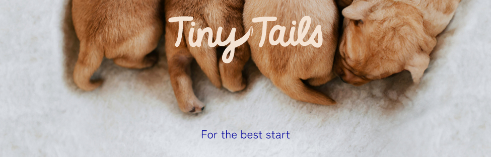 Book a free puppy or kitten check today!