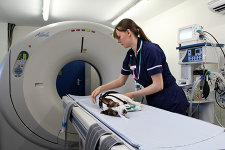 Brentknoll Veterinary CT scanner in Worcester