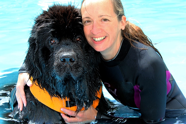 Brentknoll Vets Worcester - Hydrotherapy rehabilitation dog Dylan