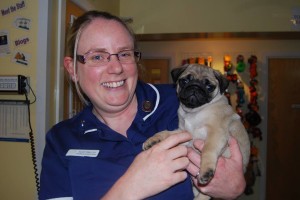 Nurse Sarah Algar with Pug Puppy