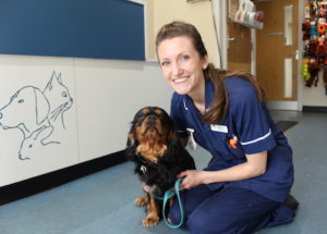 Brentknoll Vets - keep your pets healthy and happy