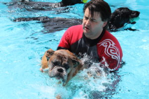 Brentknoll vets dog pool party 5