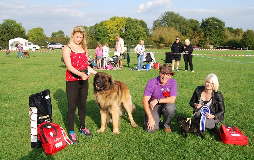 Novelty Best in Show "Orson"Reader the Leonberger and Novelty Reserve Best in Show : "Loki" Gagen the Pug