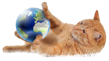 Image result for cat with globe