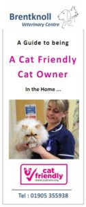 cat friendly at home leaflet