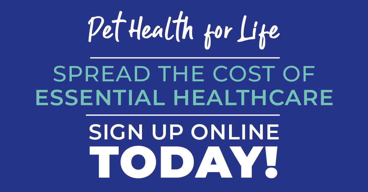 5 benefits to joining our Pet Health for Life plan