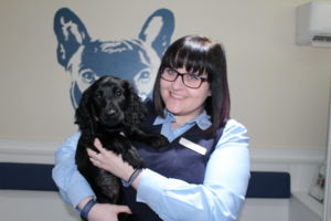 Life on Reception at Brentknoll Vets in Worcester