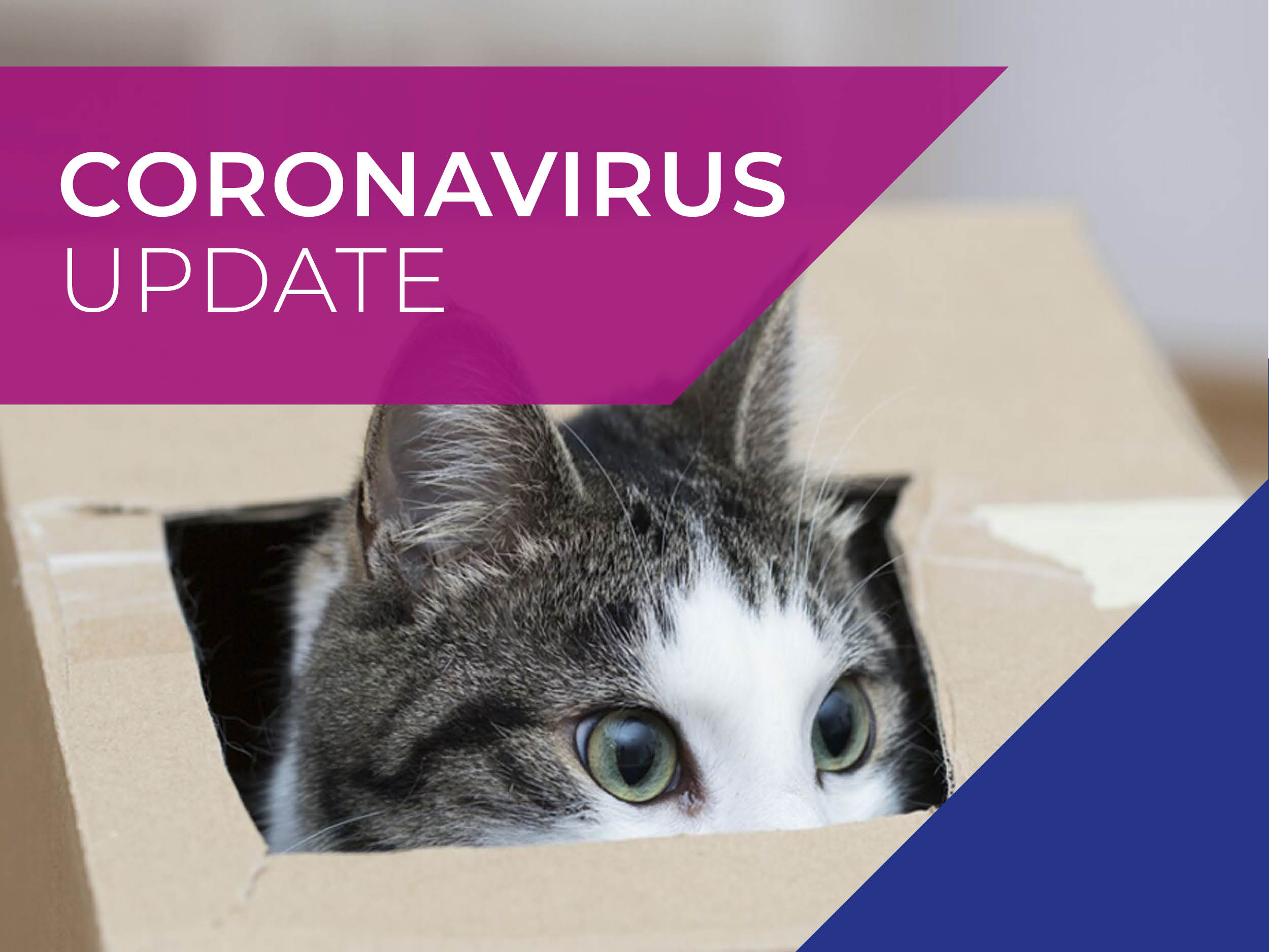 Brentknoll Vets COVID-19 (coronavirus) 31 March update