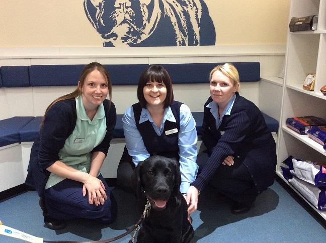 Brentknoll Sponsors a Guide Dog