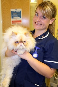 Weight Watchers Clinic