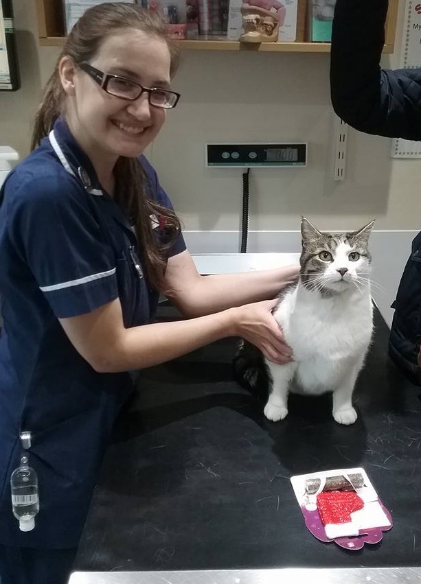 Brentknoll's Favourite Pets 2016