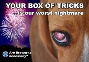 firework, fear, pets, dogs, cats, brentknoll, vets