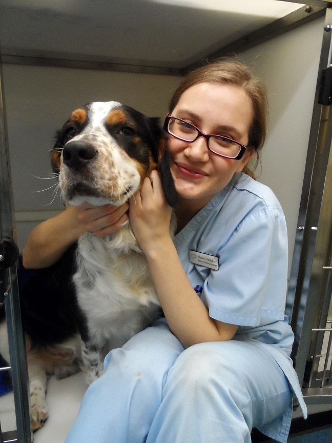 Surgery - nurse and dog patient