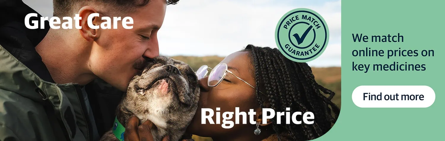 Vets in Worcester | Referral Consultations | Dog Hydrotherapy