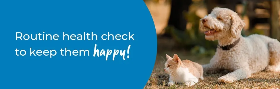 Pet Health Check in Worcester | Preventative Vet Care