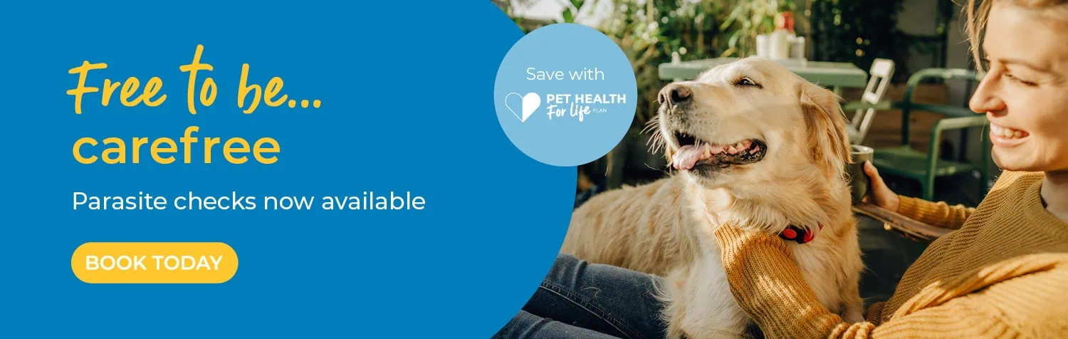 Vets in Worcester | Referral Consultations | Dog Hydrotherapy