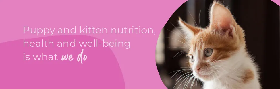 Start of Life for Your Puppy or Kitten