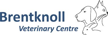 Brentknoll Vets logo